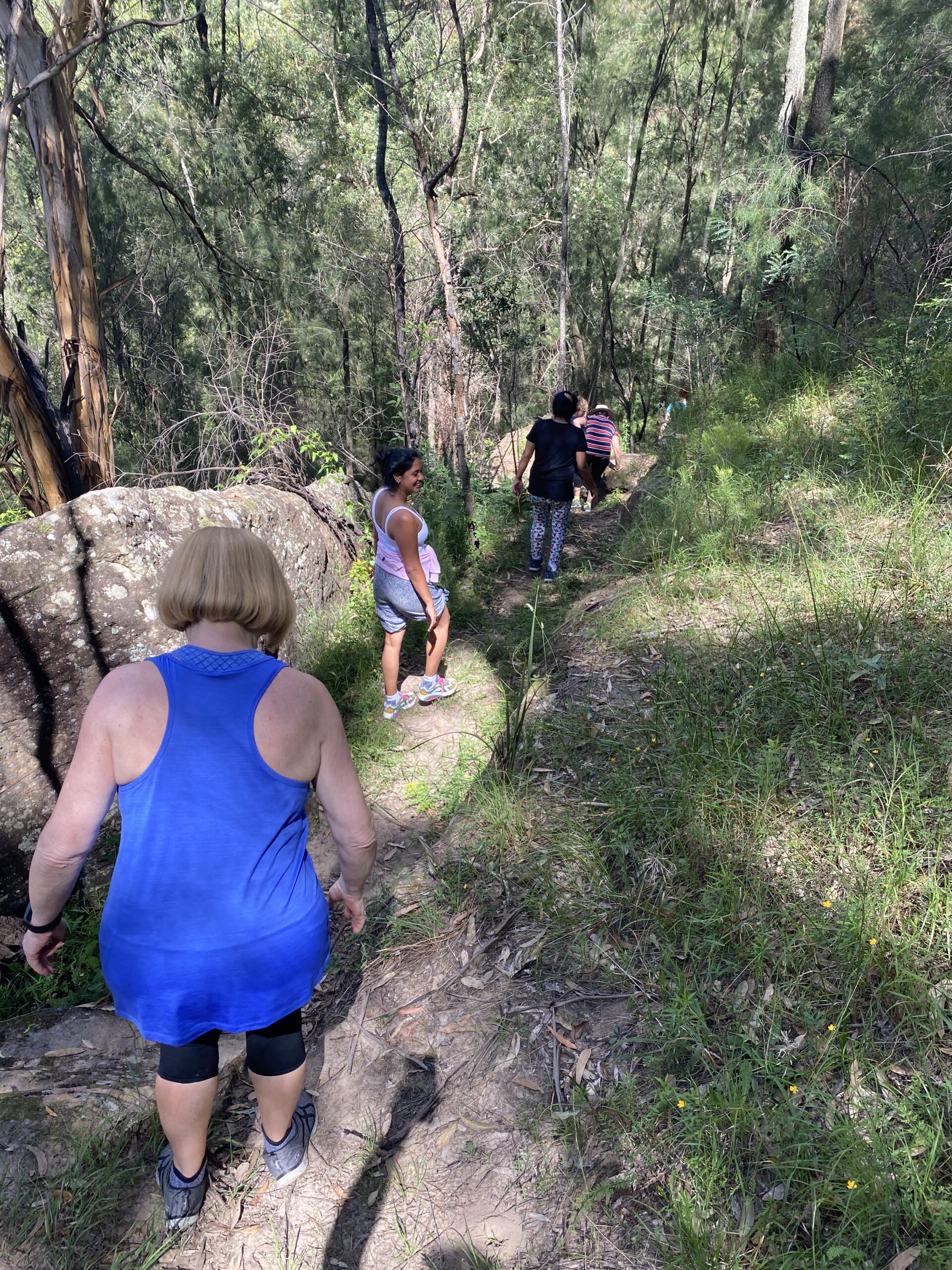 Scenic aerial view of the lush green valleys and rolling hills surrounding Yanada Retreat in St Albans, NSW; providing a peaceful and secluded natural setting for the Mystique Moksha Samatvam yoga retreat.
