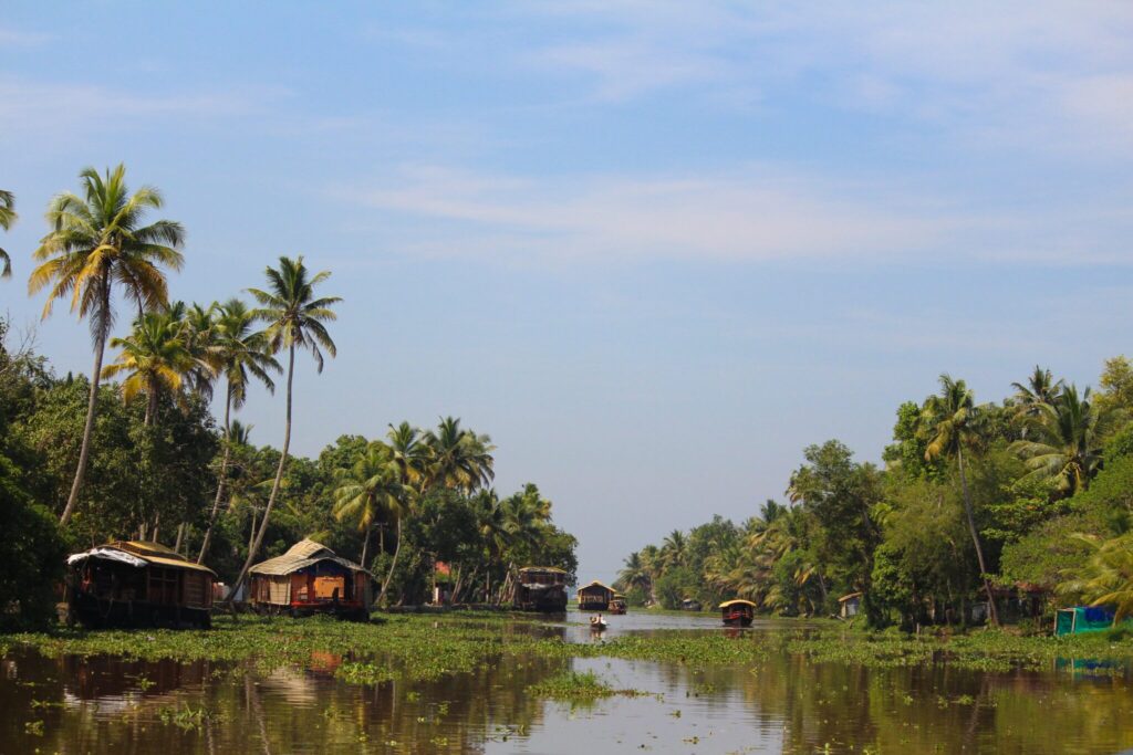 South India Retreat for Yoga, Wellness