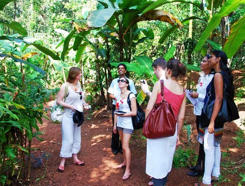 Thekkady — Periyar the Spice Trails​